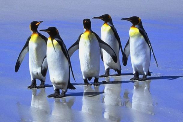 Freddo e gelo in arrivo in Toscana