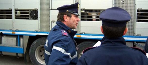 I controlli della Polstrada sul trasporto di animali