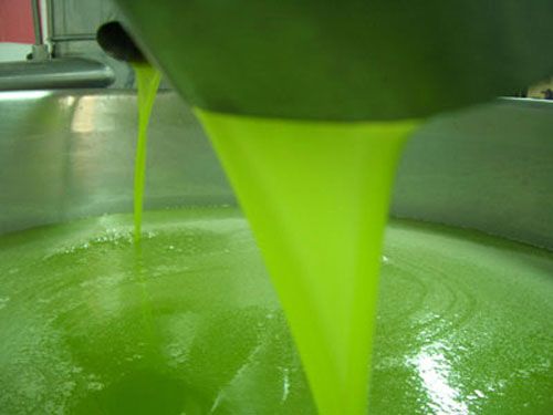 Olio prodotto sano e gustoso