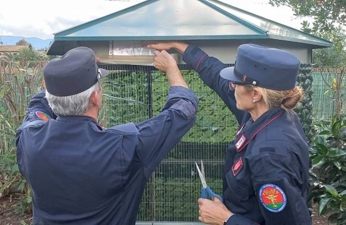 carabinieri forestali