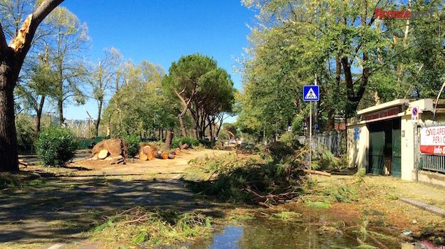 Il tratto del Lungarno Aldo Moro davanti alla Piscina di Bellariva