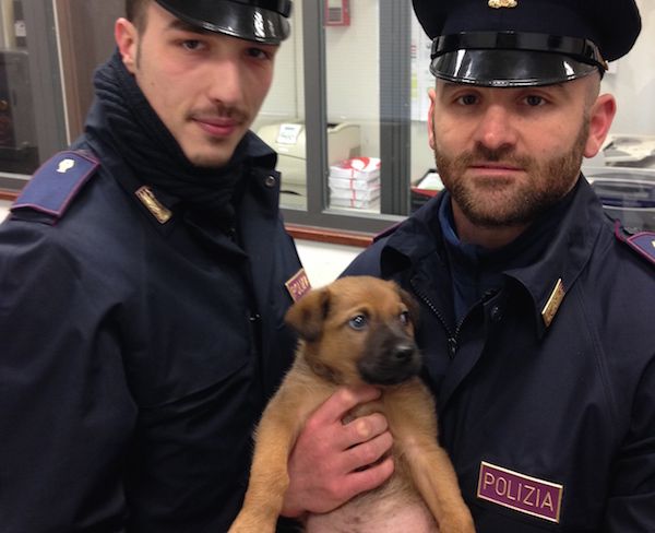 Il cucciolo appena salvato dagli agenti della Polfer