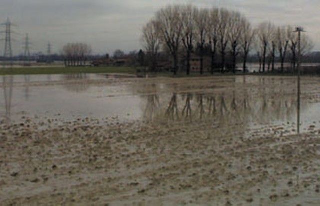 Campi allagati, milioni di danni
