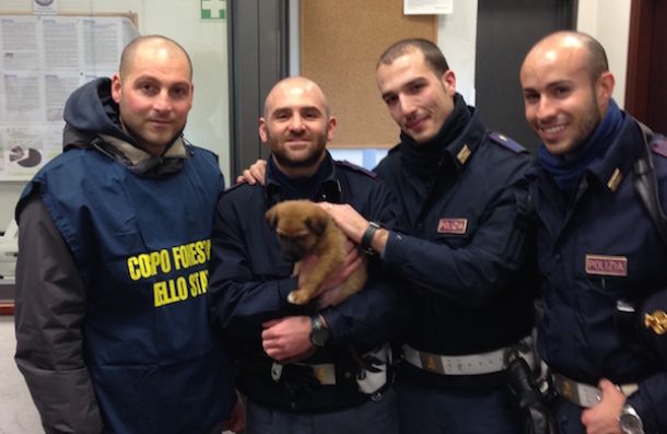 Il cucciolo - appena ribattezzato "Binario" - in mezzo ai suoi salvatori