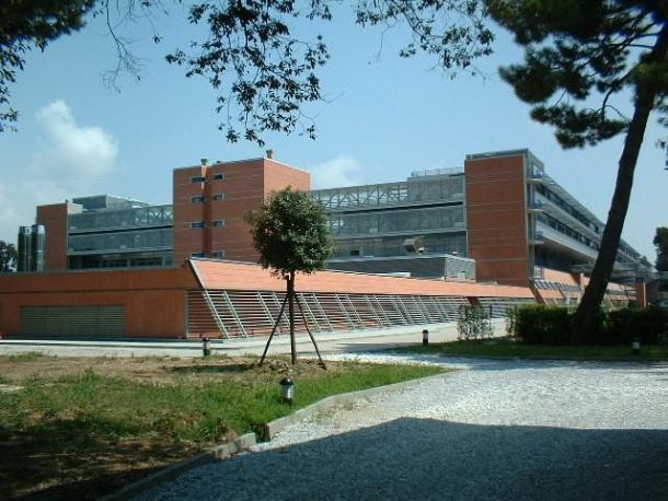 L'ospedale unico della Versilia