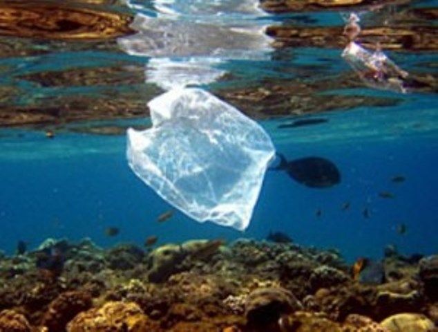 Il 41% della spazzatura nel mar Tirreno è costituito da buste di plastica