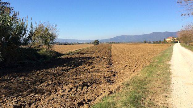 Ancora incertezze sul pagamento dell'Imu agricola