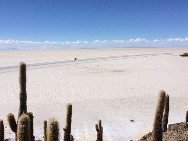 Il salar di Uyuni, visto dall'isola Incahuasi