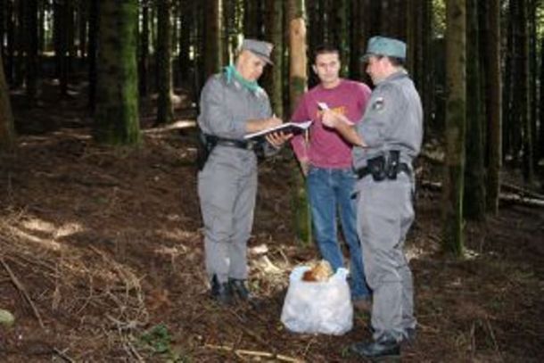Controlli della Forestale in Lunigiana per la raccolta di funghi
