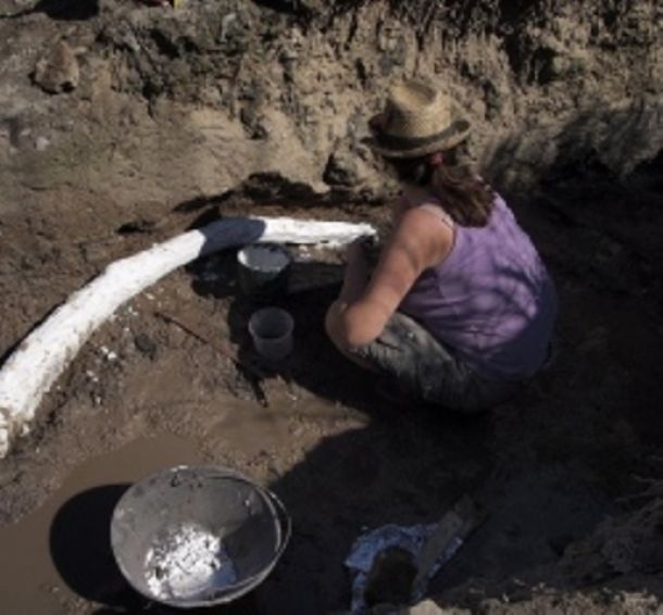Lo scavo a Poggetti Nuovi, alle porte di Grosseto