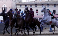 Pantera vince la Provaccia a Siena