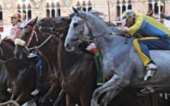 Il Palio di Siena, un momento della carriera