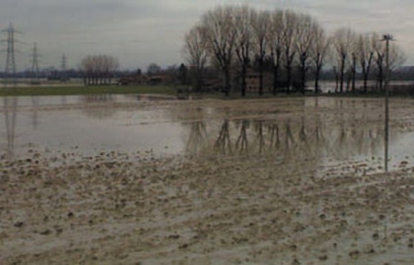 Campi allagati, milioni di danni