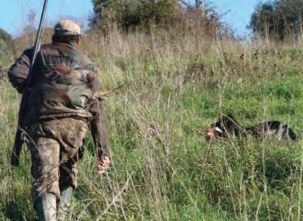 Vanno a caccia di cinghiale ma uccidono un cane nel grossetano