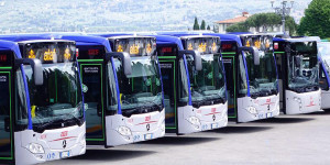 Autobus firenze