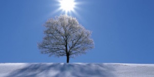 Il sole a inizio febbraio non vuol dire che l'inverno è finito