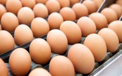 Coldiretti Toscana - produzione e consumo uova 2014-2015