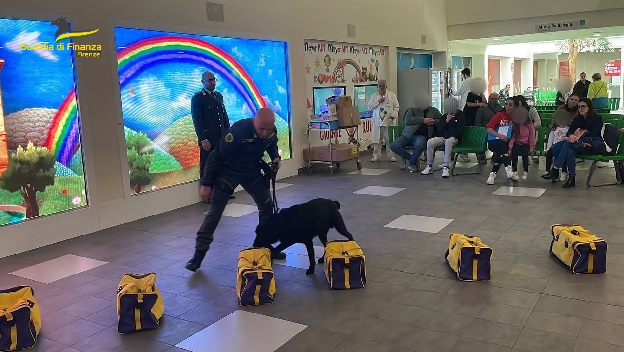 Firenze cane da .com Firenze il cane Elio della Guardia di Finanza porta un sorriso ai bambini del Meyer