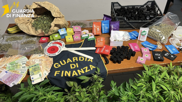 Droga piantagione da .com Droga piantagione di marijuana scoperta a Montelupo Sei indagati a Firenze Prato e Pistoia