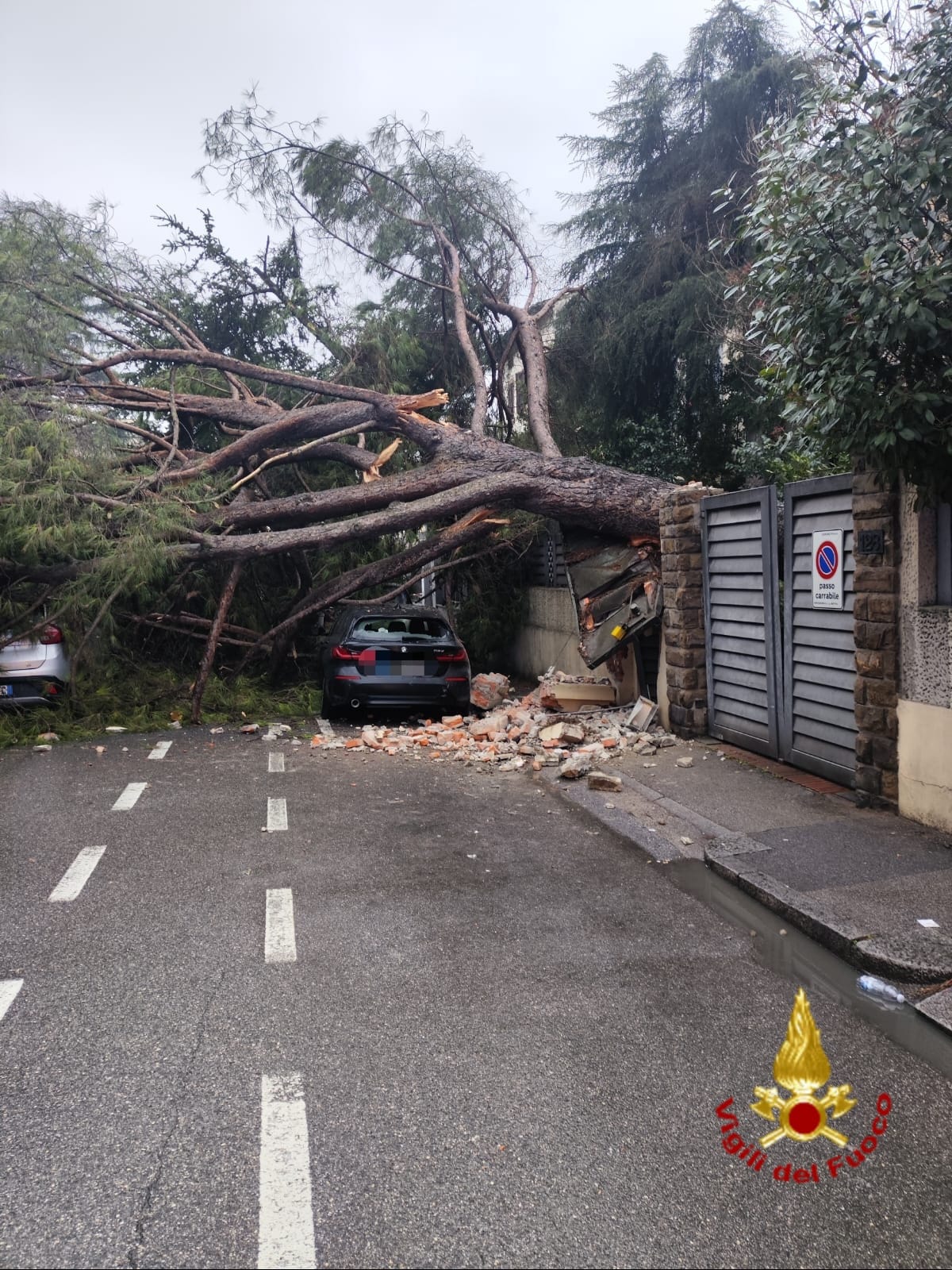 prato grosso albero cade su auto in transito conducente ferito da Firenzepost.it prato grosso albero cade su auto in transito conducente ferito