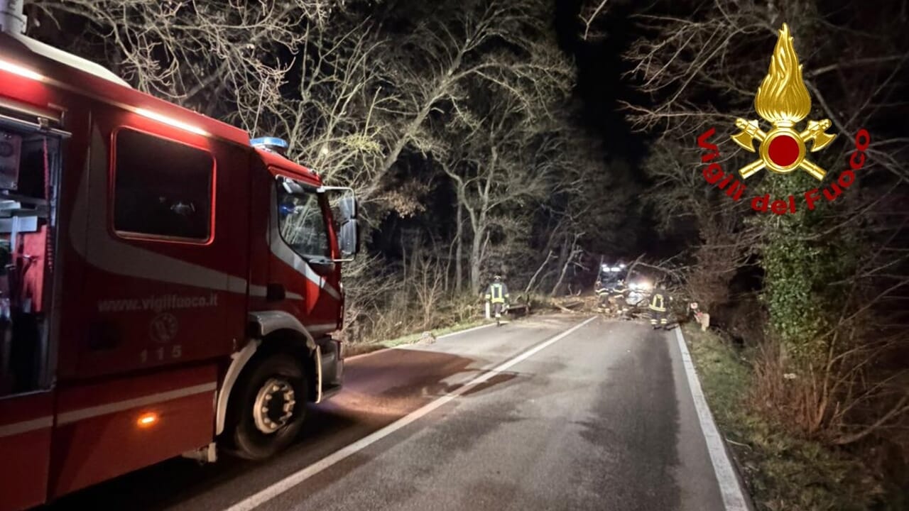 impruneta albero cade sulla chiantigiana dopo il ferrone paura ma nessun ferito da Firenzepost.it impruneta albero cade sulla chiantigiana dopo il ferrone paura ma nessun ferito