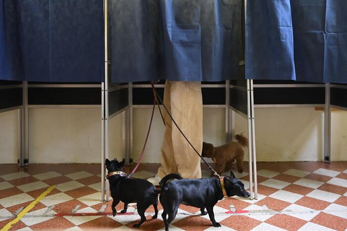 Referendum Giustizia, affluenza alle 23: 46,07% il dato del Viminale. Toscana al 52,49% e Firenze al 56,41%