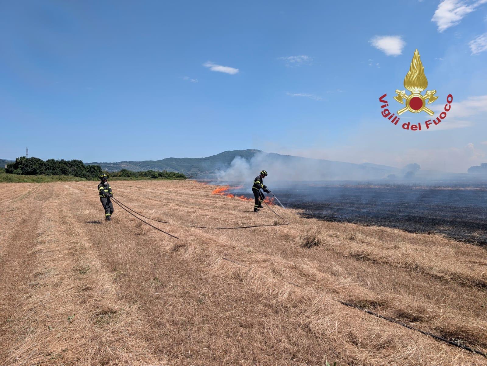 incendio ad arezzo bruciati 10 ettari di vegetazione da Firenzepost.it incendio ad arezzo bruciati 10 ettari di vegetazione