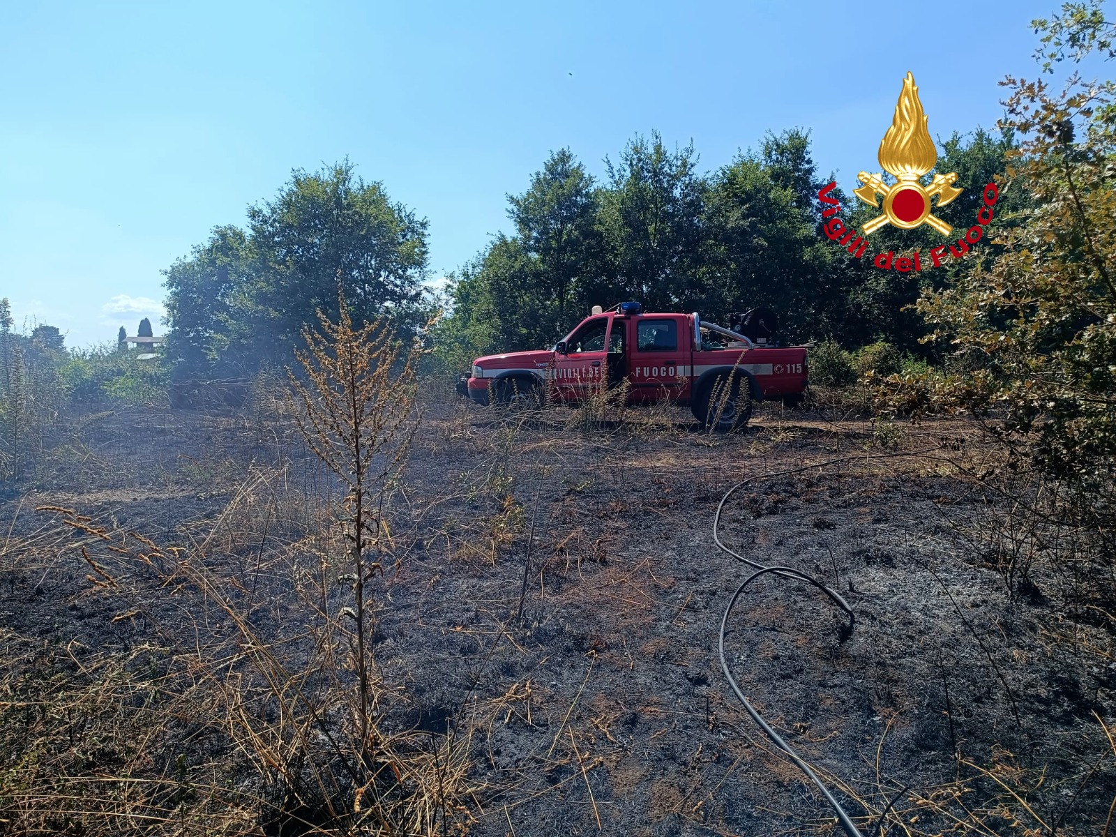 incendio a sorano fiamme in un terreno agricolo da Firenzepost.it incendio a sorano fiamme in un terreno agricolo