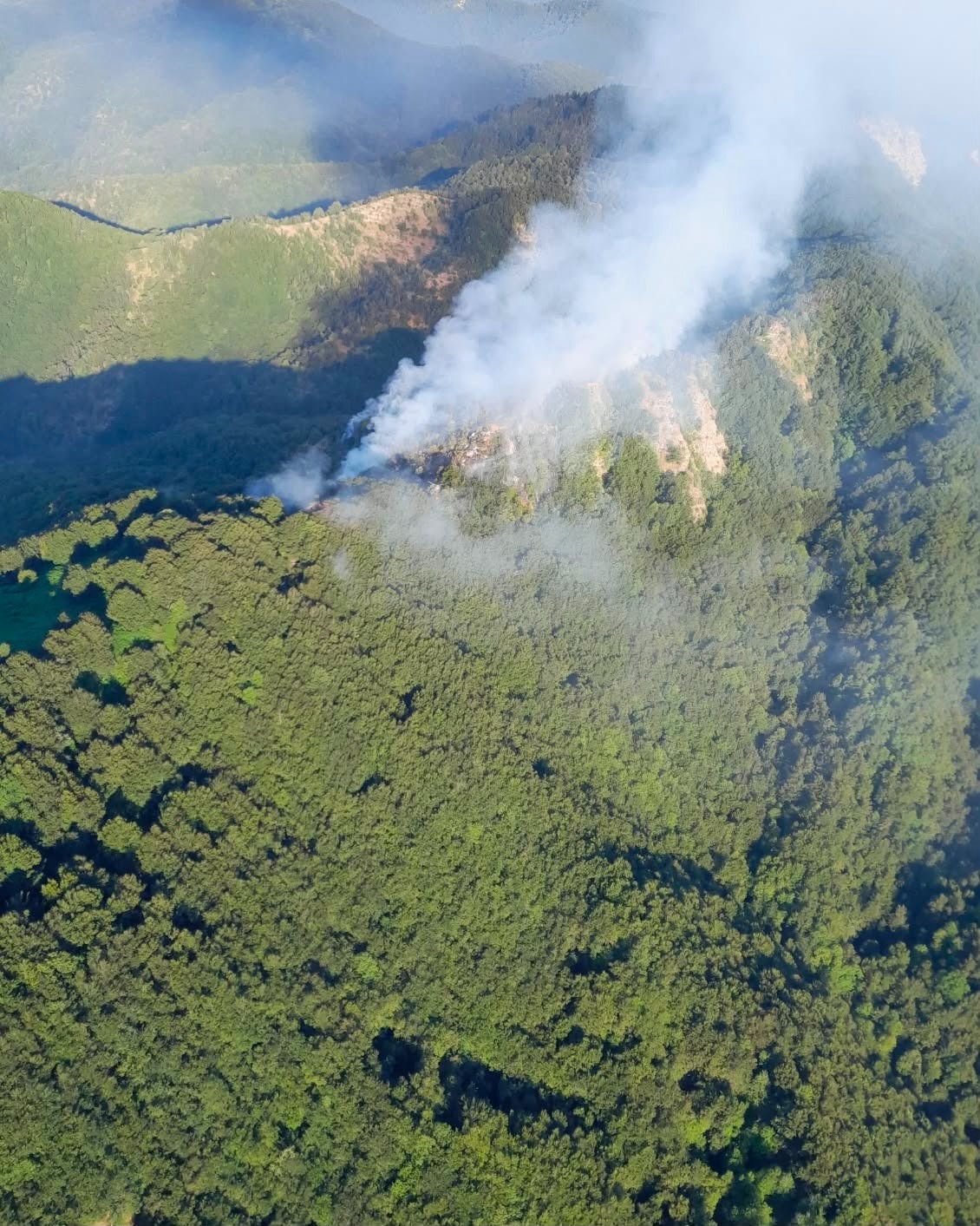 incendio a vicchio fiamme nel bosco della colla in azione anche gli elicotteri da Firenzepost.it incendio a vicchio fiamme nel bosco della colla in azione anche gli elicotteri