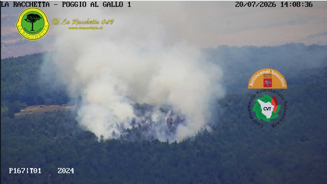 incendio a sovicille fiamme divorano il bosco di bagnaia impegnate 10 squadre a terra e due elicotteri da Firenzepost.it incendio a sovicille fiamme divorano il bosco di bagnaia impegnate 10 squadre a terra e due elicotteri