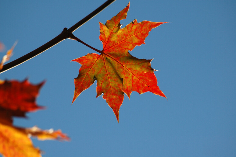meteo in toscana alta pressione e temperature in salita poi arriva l8217autunno da Firenzepost.it meteo in toscana alta pressione e temperature in salita poi arriva l8217autunno
