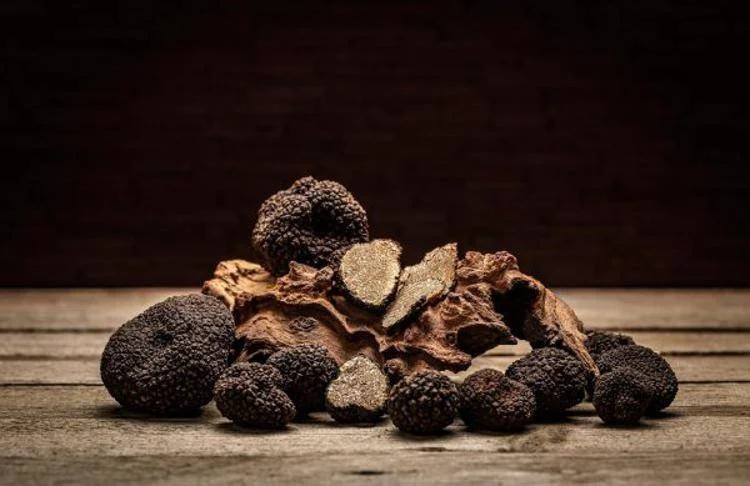 tartufi e funghi in toscana cambiano le modalit224 di pagamento come mettersi in regola da Firenzepost.it tartufi e funghi in toscana cambiano le modalit224 di pagamento come mettersi in regola